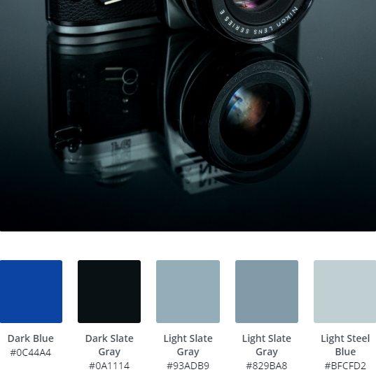 Monochrome Website Ideas