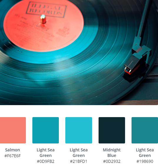 Vinyl Record Website Inspiration