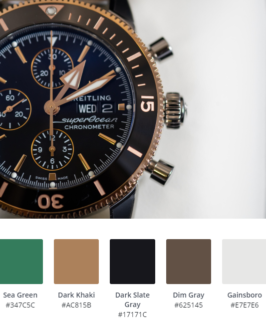 Luxury Website Colour Scheme 1