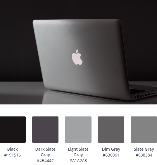 Luxury Website Colour Scheme 12