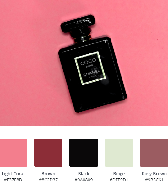 Luxury Website Colour Scheme 5
