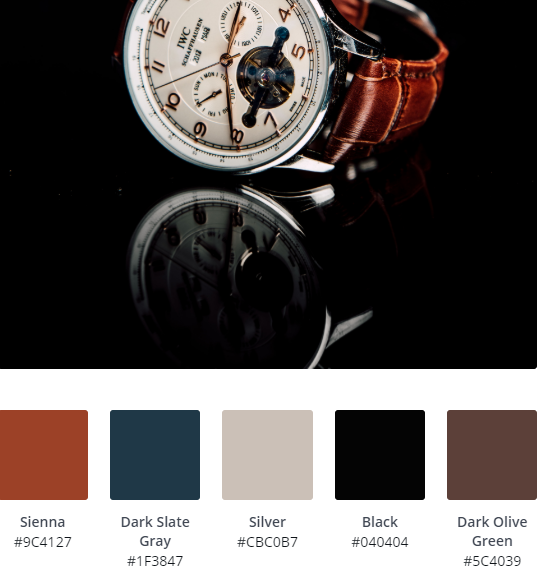 Luxury Website Colour Scheme 3