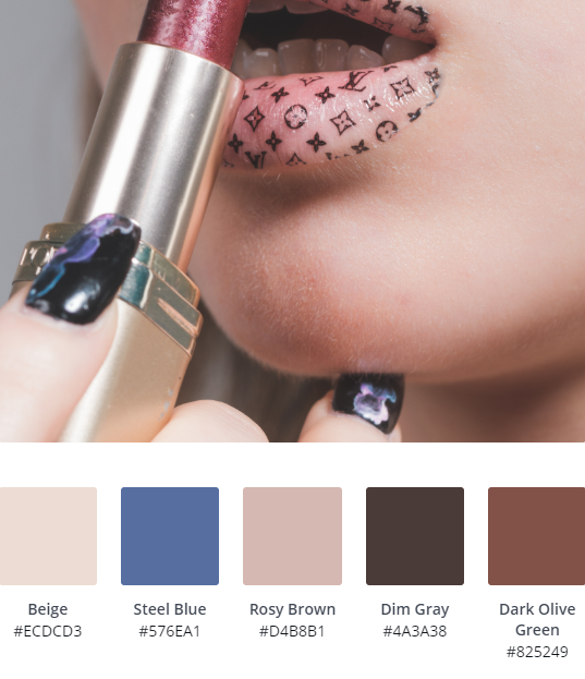 Luxury Website Colour Scheme 11