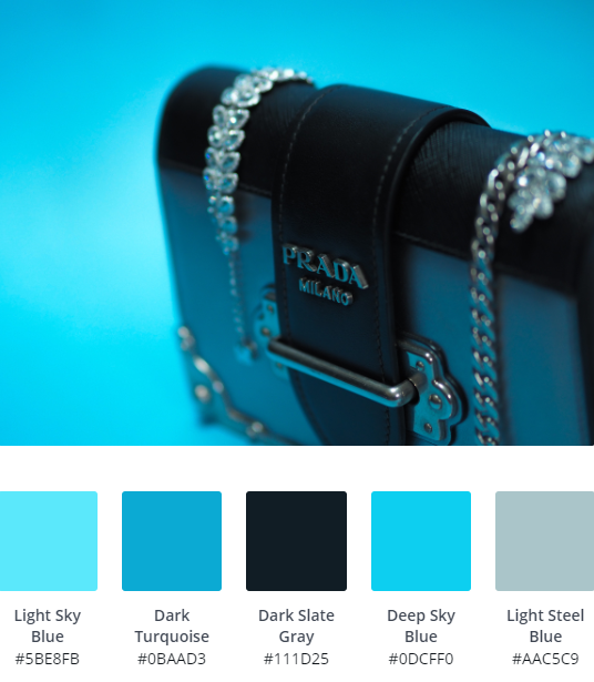Luxury Website Colour Scheme 8